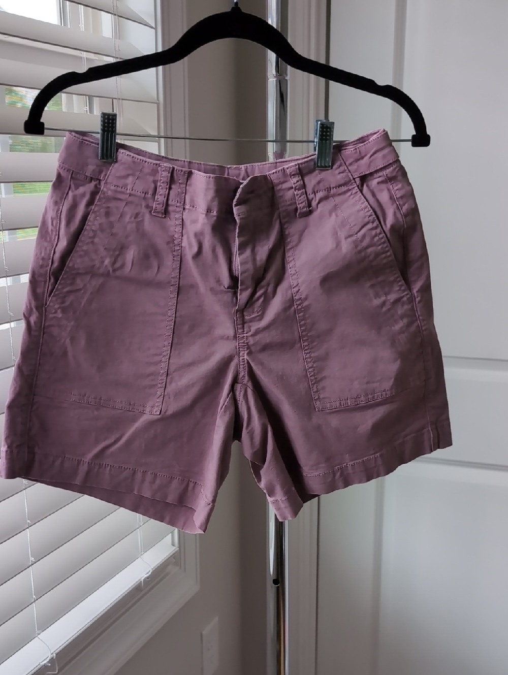 Cabi Lilac Size 2 Shorts